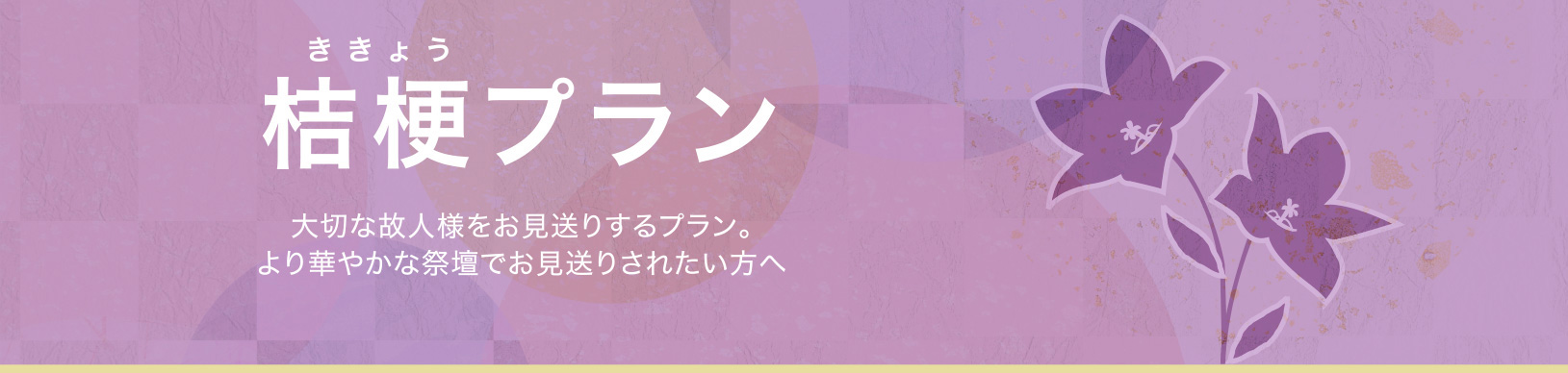 桔梗プラン